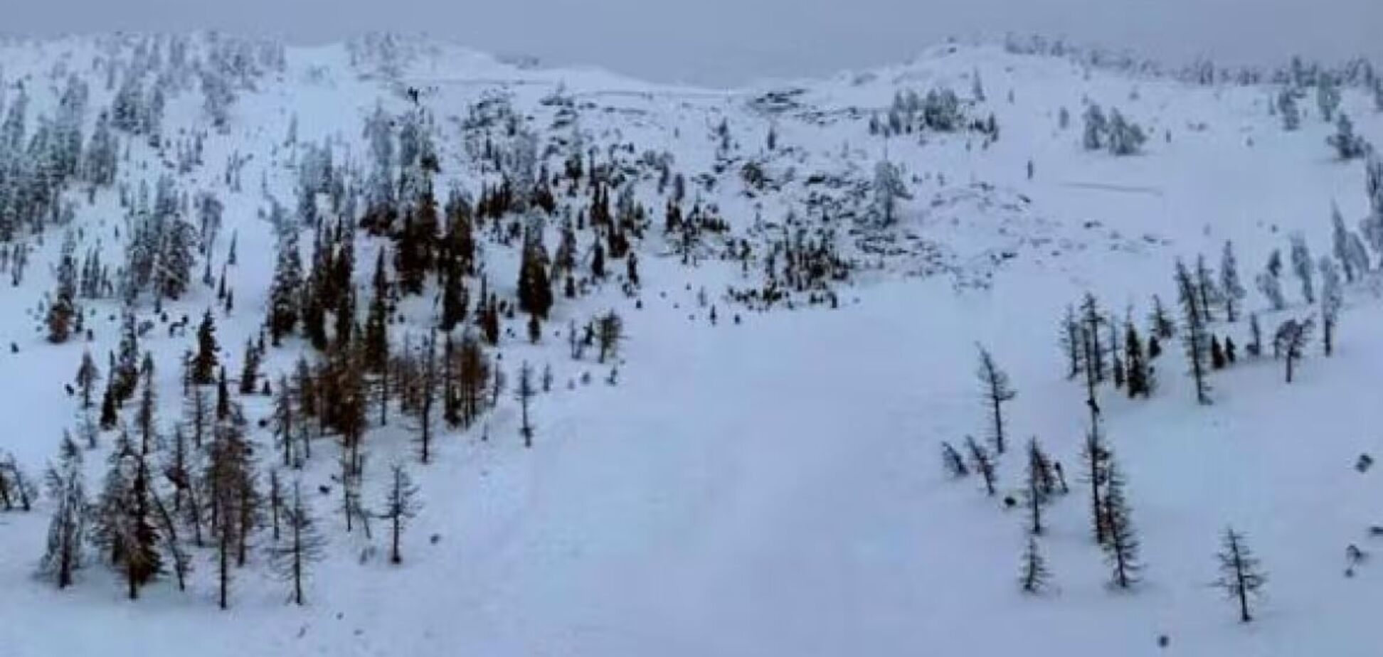 У Канаді внаслідок сходження лавини загинули троє лижників: усі обставини трагедії