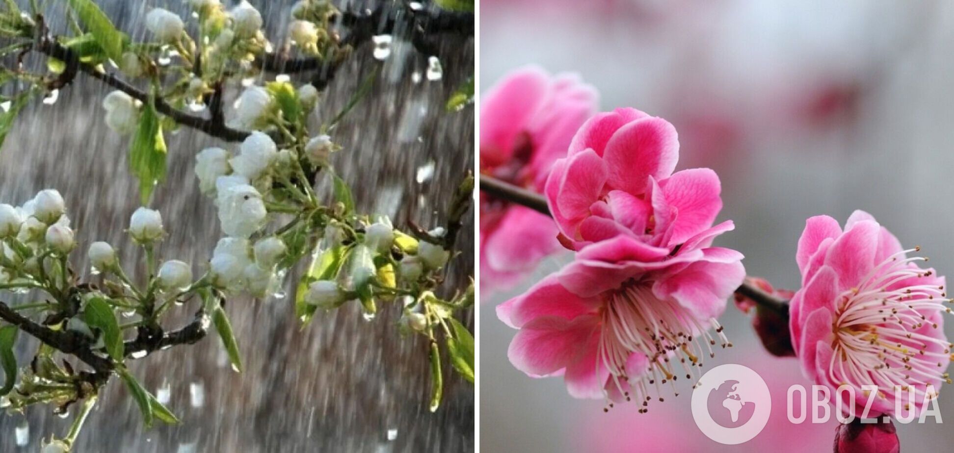 Воздух прогреется до +24: синоптики рассказали, какой будет погода в Украине 18 апреля