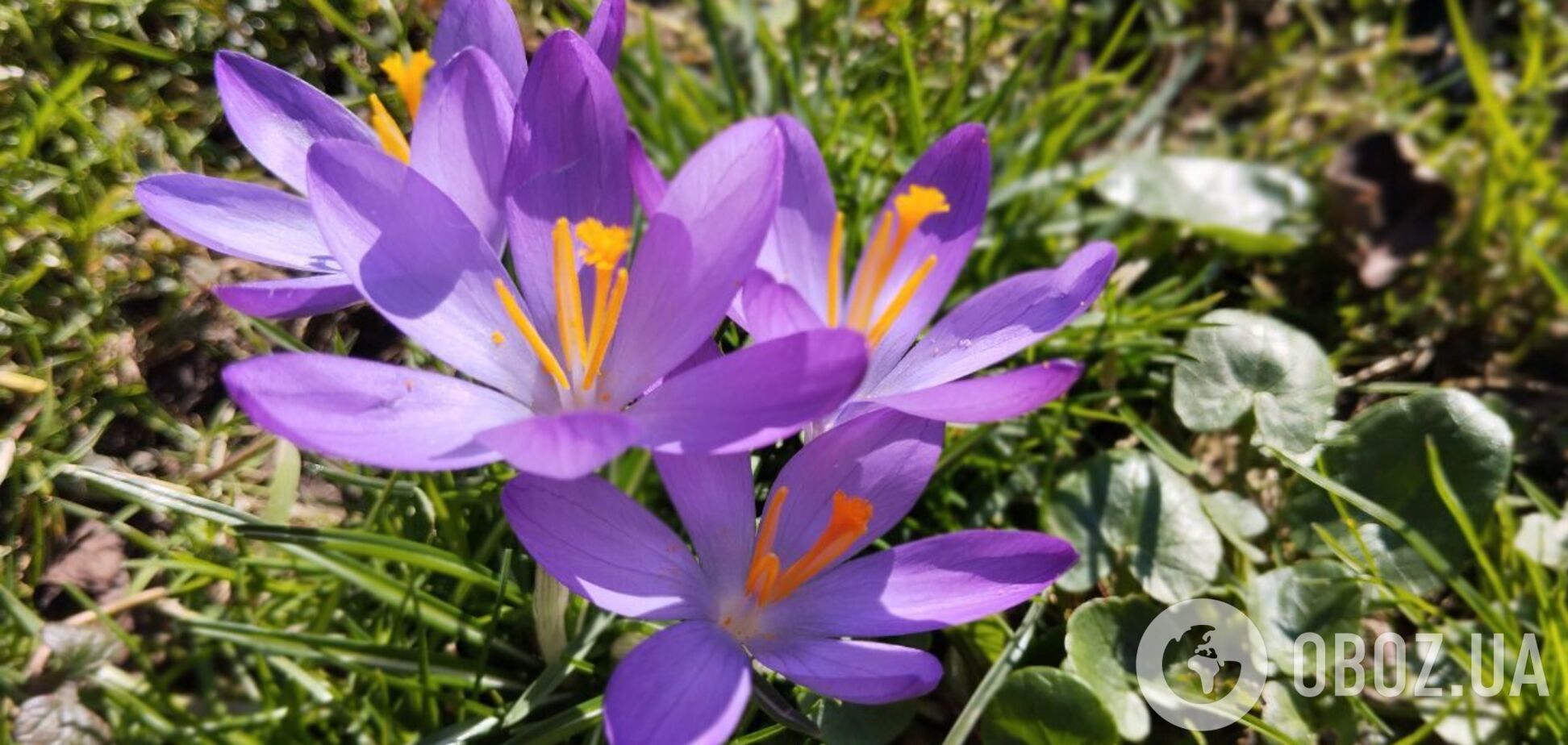 В Україну вривається справжнє літо: синоптики сказали, де у четвер температура перевищить 30°C