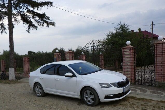 Брал за услугу по 8 тыс. евро: на Буковине будут судить экс-чиновника лесничества, организовавшего 'схему' по переправке мужчин за границу