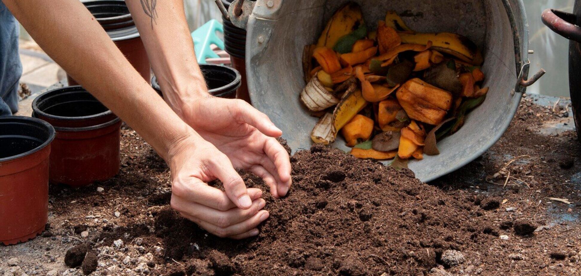 Как быстро сделать компост для огорода: советы