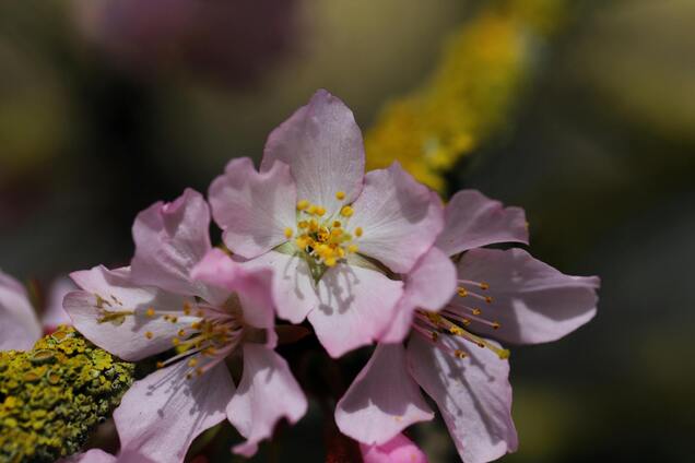 Погода в апреле 2025