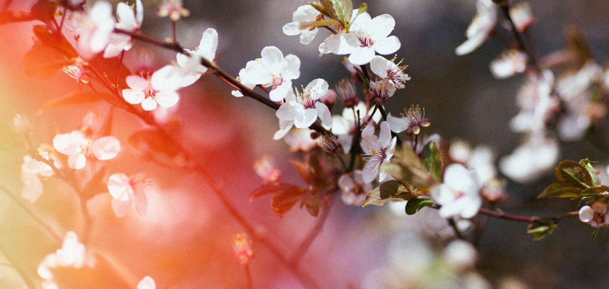 Яке свято відзначають 4 квітня: події в Україні та світі