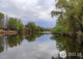 Без осадков и до +18°С: подробный прогноз погоды по Киевской области на 29 марта