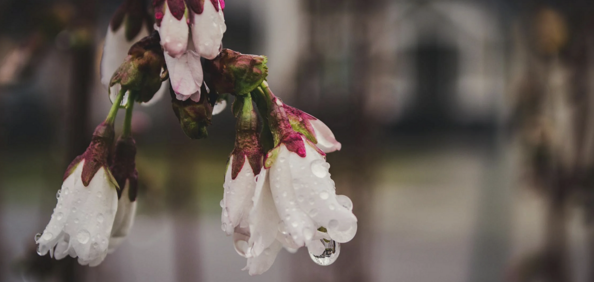 Украину затягивает дождями, но ненадолго: синоптики дали прогноз погоды на первые числа апреля