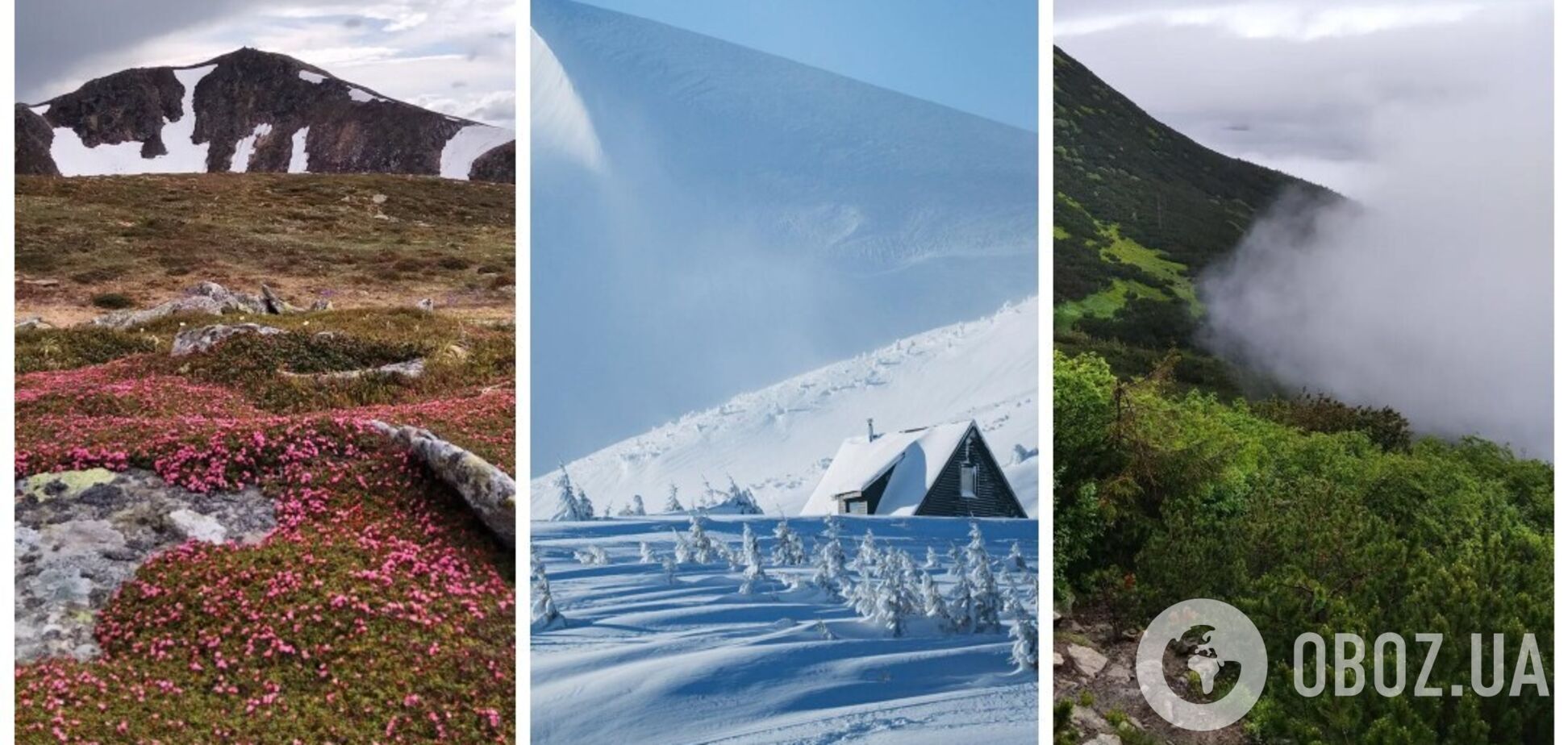 Отдых в Карпатах