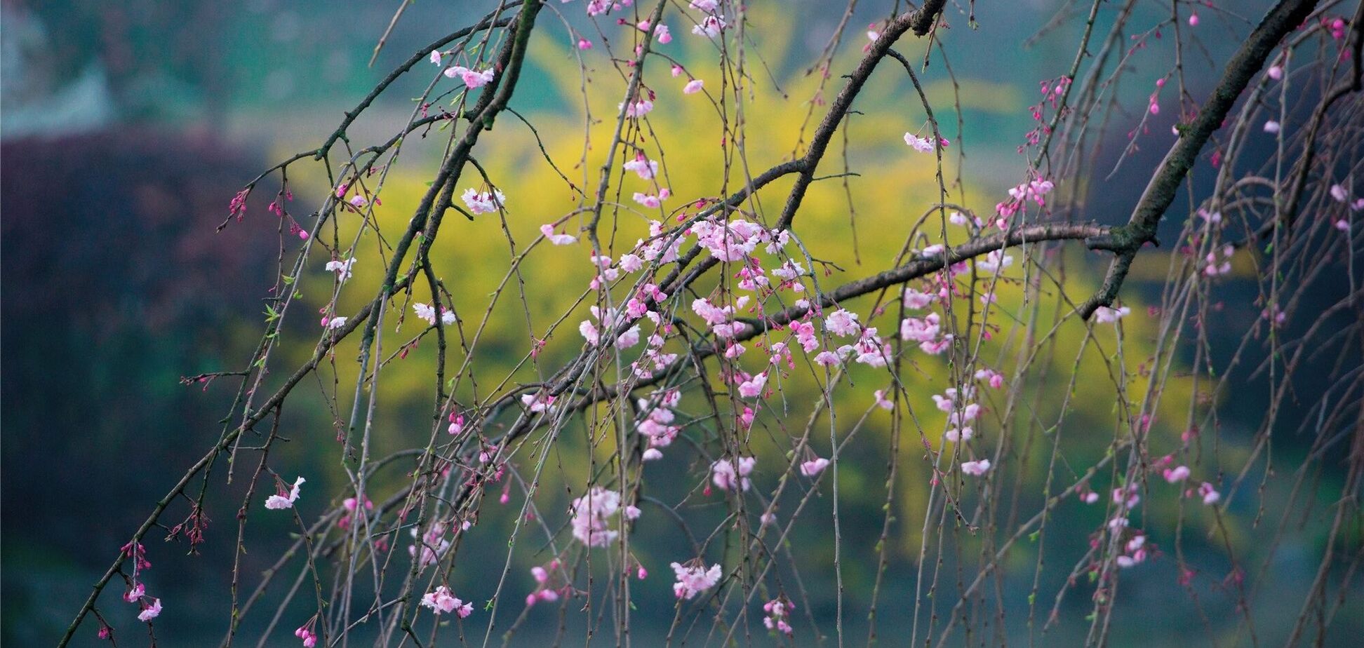Украину в начале апреля накроют дожди: синоптики дали детальный прогноз. Карта