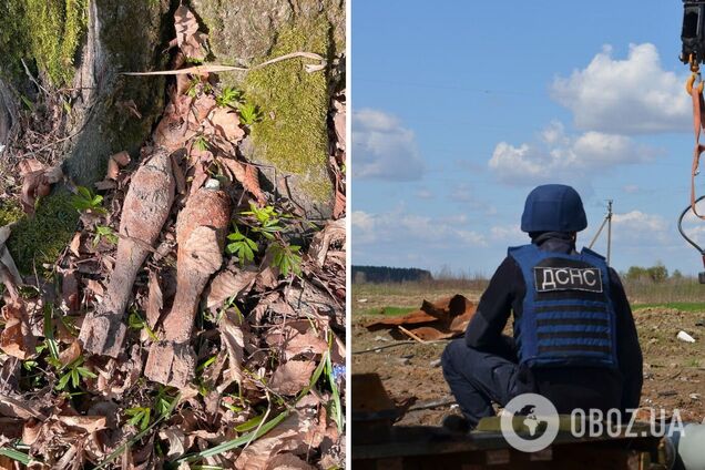 У Києві в парку Феофанія відвідувач знайшов дві мінометні міни. Подробиці та фото