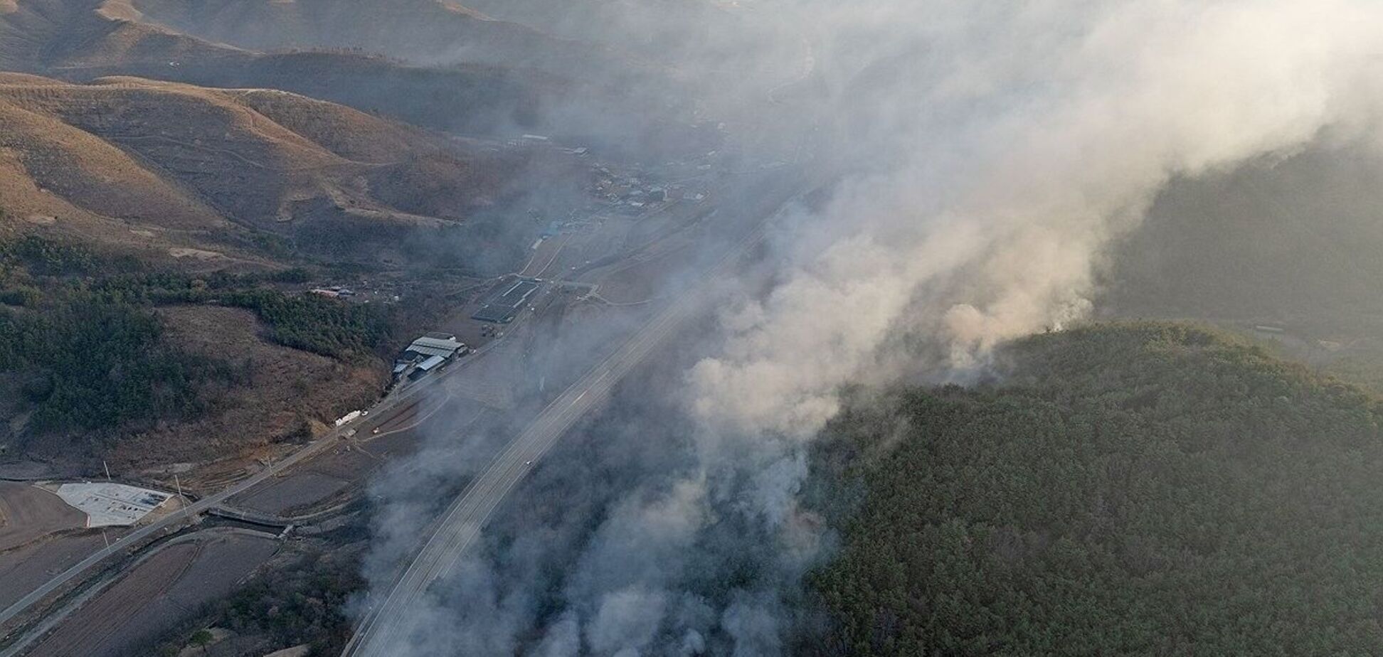 Масштабні лісові пожежі в Південній Кореї міг влаштувати чоловік, який проводив обряд поминання предків: вогонь забрав життя 30 осіб