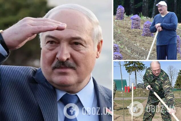 'Нашел погреб с картошкой': сеть взорвалась мемами из-за планов Лукашенко найти редкоземельные металлы в Беларуси