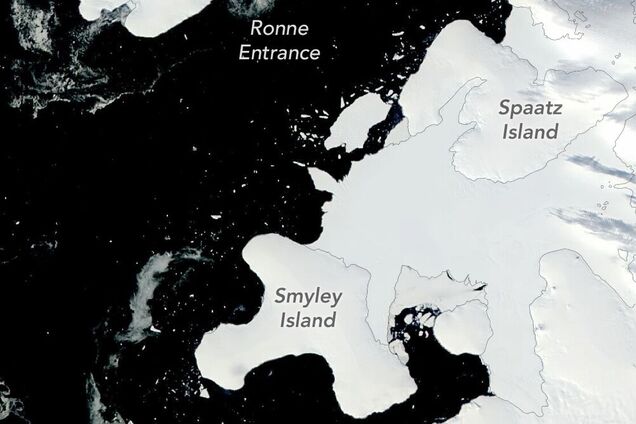 Спутники NASA показали рождение нового айсберга размером с Чикаго: невероятные кадры