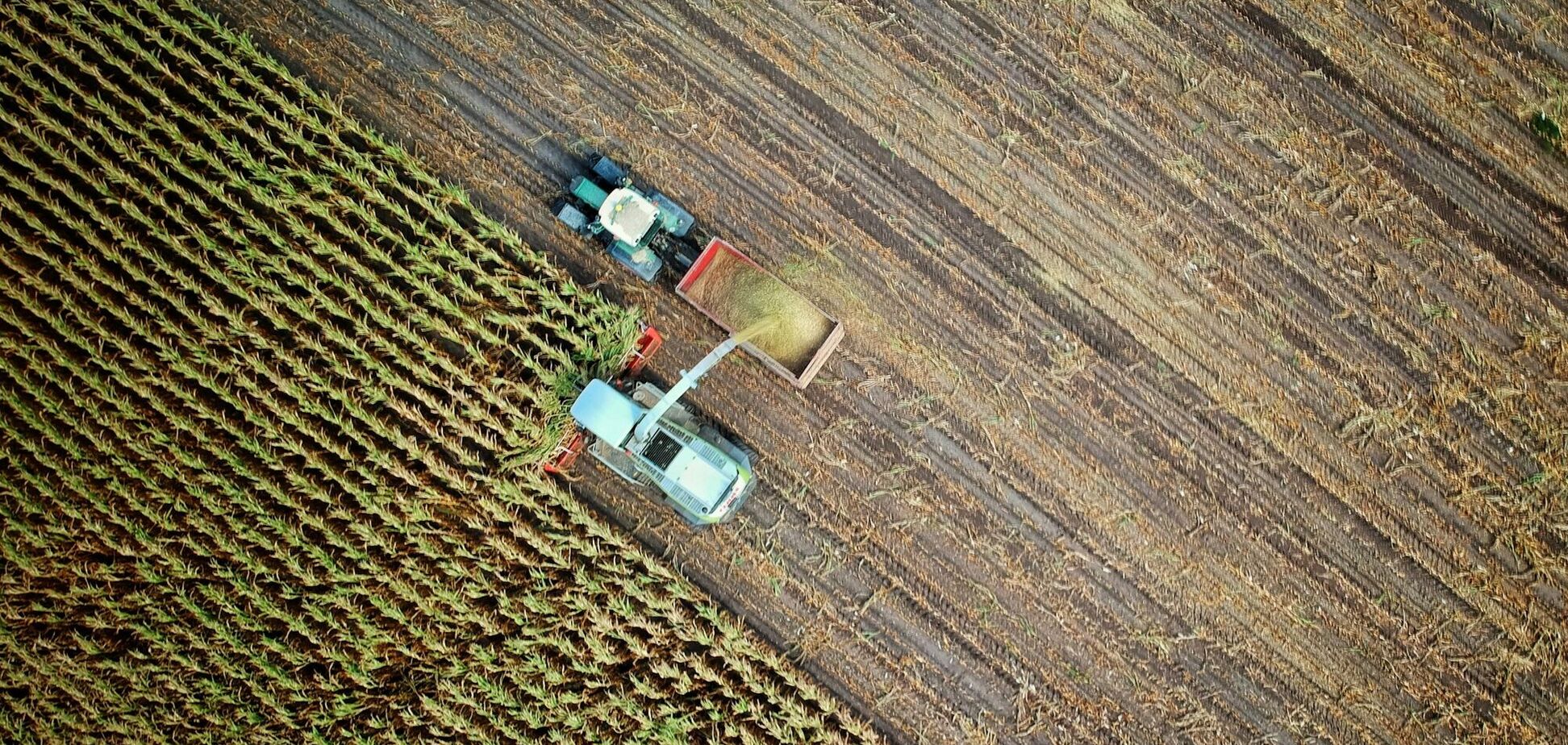Сельское хозяйство – самая пострадавшая из-за Трампа отрасль США
