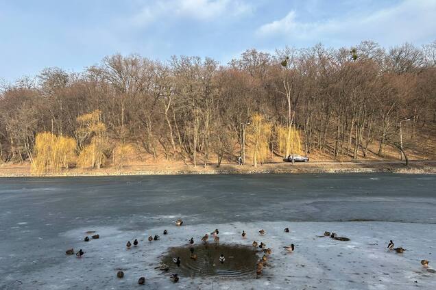 В Украине в ближайшую неделю будет тепло, а затем ворвется похолодание: синоптик дала прогноз
