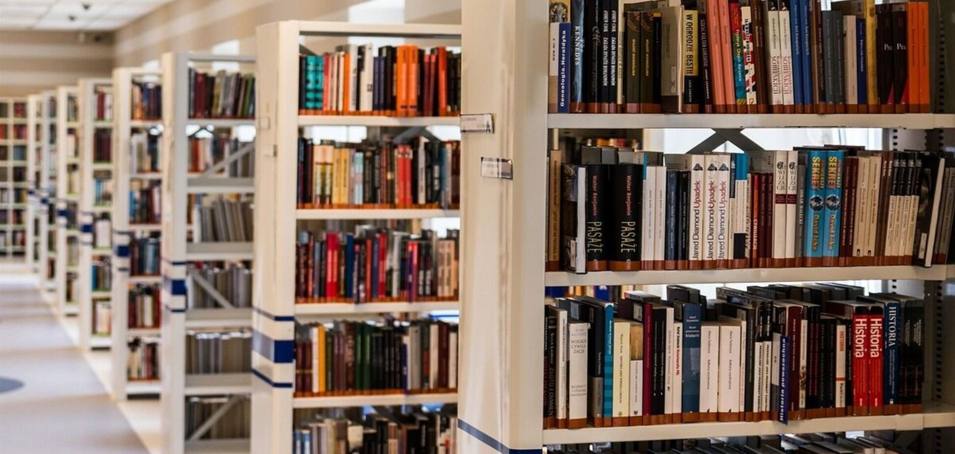 Майже 600 книг заборонили в школах американського штату: чому 'Пітер Пен', біографія Леонардо да Вінчі та 'Убити пересмішника' потрапили в чорний список