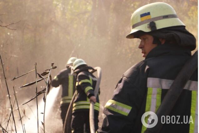На Київщині пожежа в полі забрала життя жінки. Подробиці трагедії та фото
