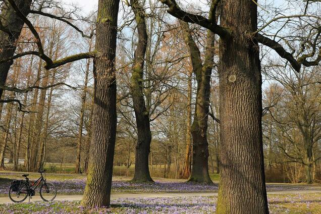 До +20: синоптики спрогнозували подальше потепління в Україні