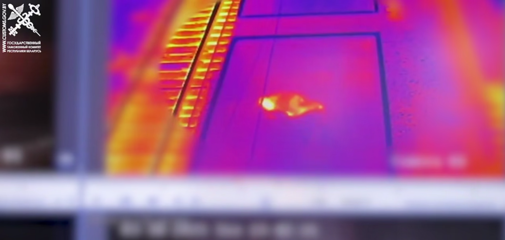 'Не мав достатньо коштів на проживання': у Білорусі затримали громадянина США за спробу незаконного перетину кордону