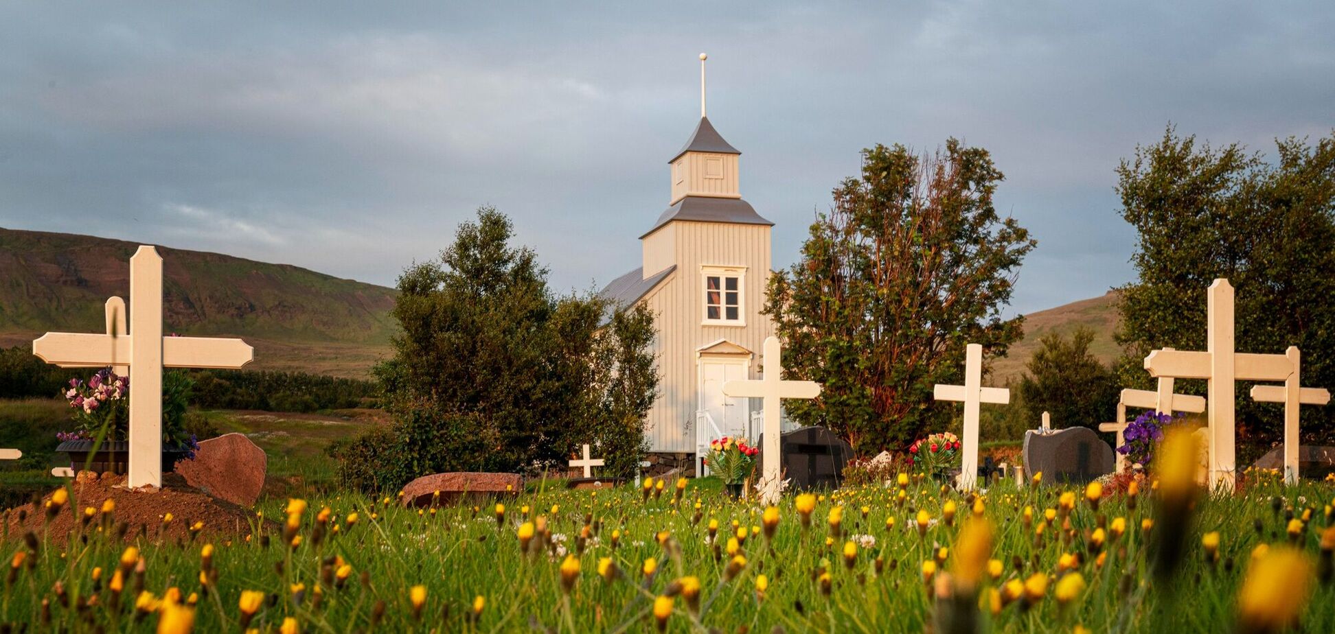 Какие цветы посадить на кладбище: лучшие неприхотливые варианты