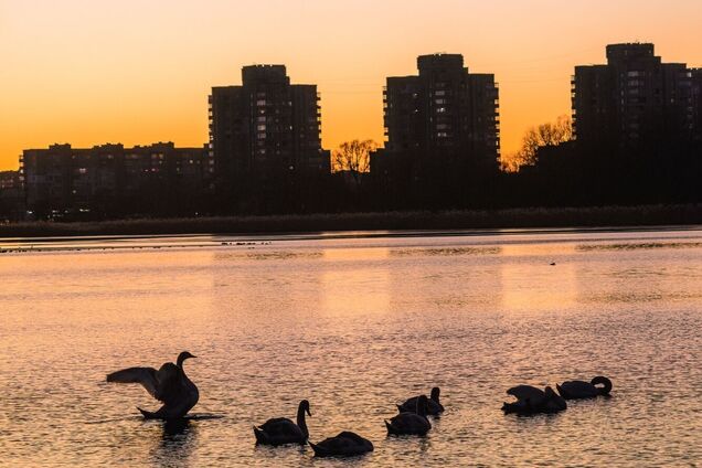 Якими були Суми у 1950-х: старі атмосферні фото