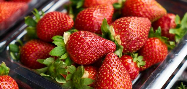 Скільки коштує кілограм полуниці