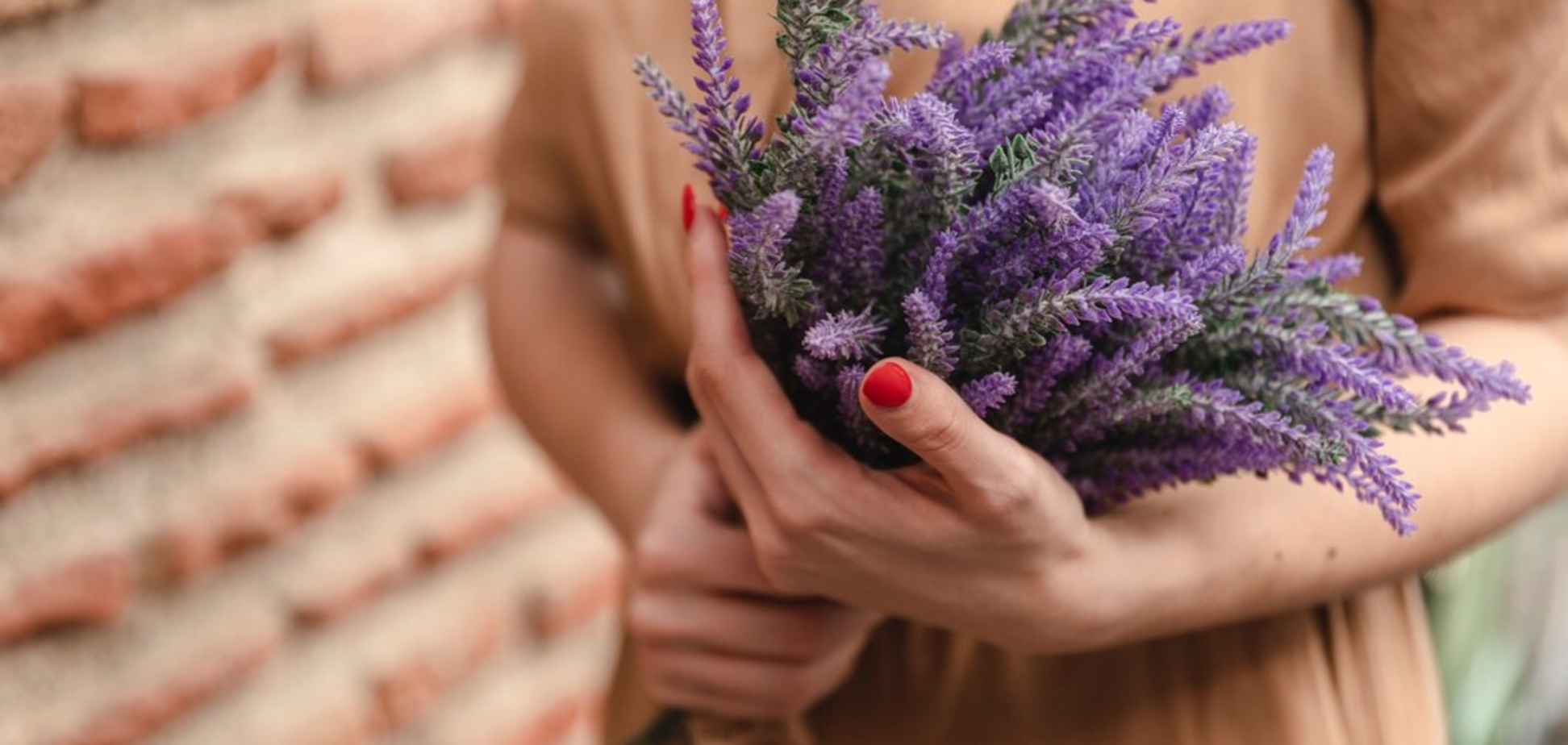 Чим підживити лаванду для гарного цвітіння і аромату: найкращі варіанти