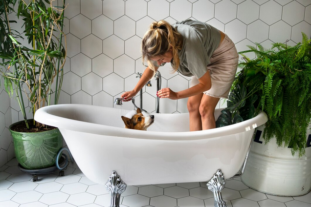 Что нельзя делать в Чистый четверг: запреты и традиции в этот день