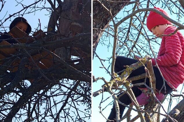 Школярі сидять на дереві: як відбувається навчання в прикордонному селі на Чернігівщині. Фото