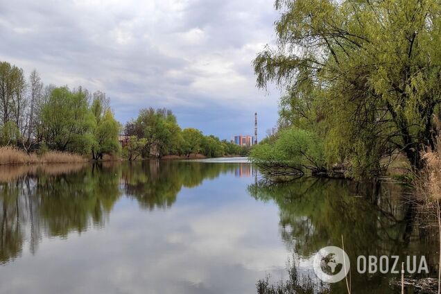 Без опадів та до +23°С: детальний прогноз погоди по Київщині на 17 квітня