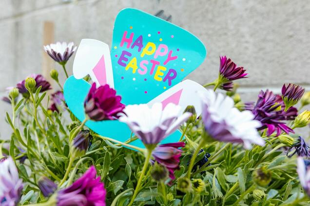 В Украине ожидается сухая и солнечная погода