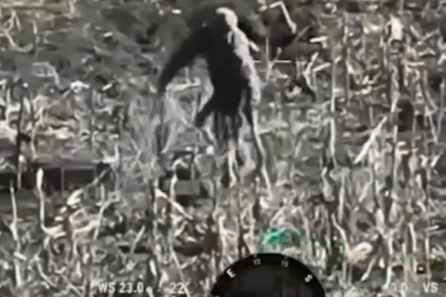 Россия бросает на штурмы на Покровском направлении оккупантов на костылях: появилось очередное доказательство. Видео