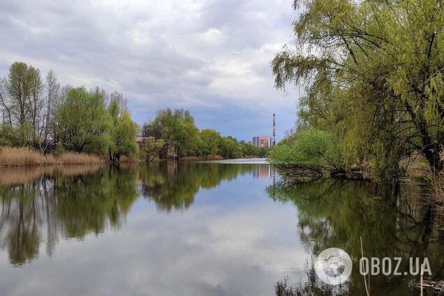 Мінлива хмарність та до +24°С: детальний прогноз погоди по Київщині на 19 квітня