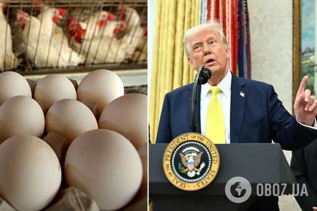 'У нас занадто багато яєць': Трамп похвалився зниженням цін на продукти харчування у США