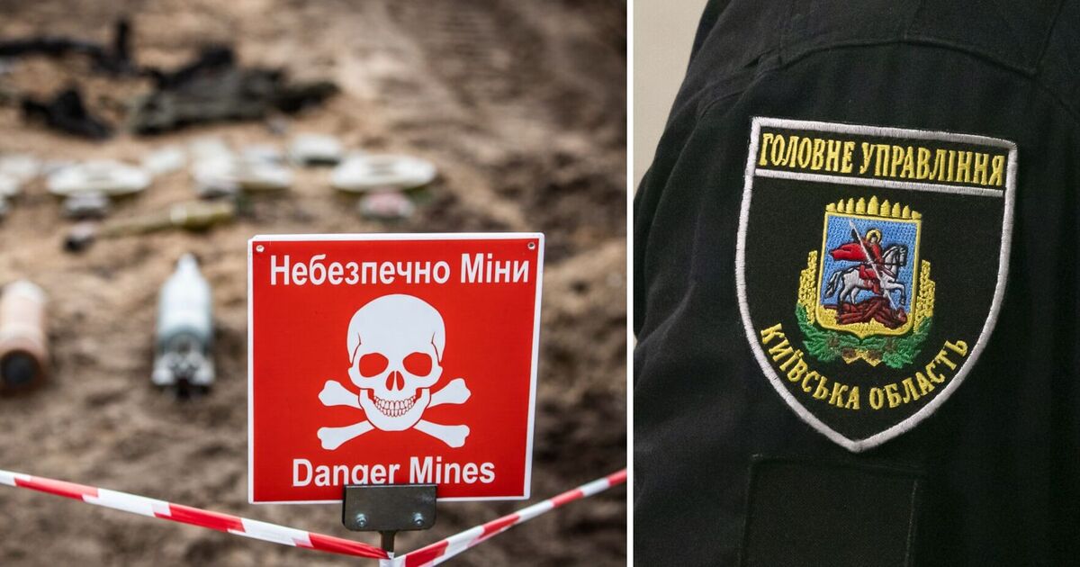 На Київщині місцевий мешканець знайшов бойову частину