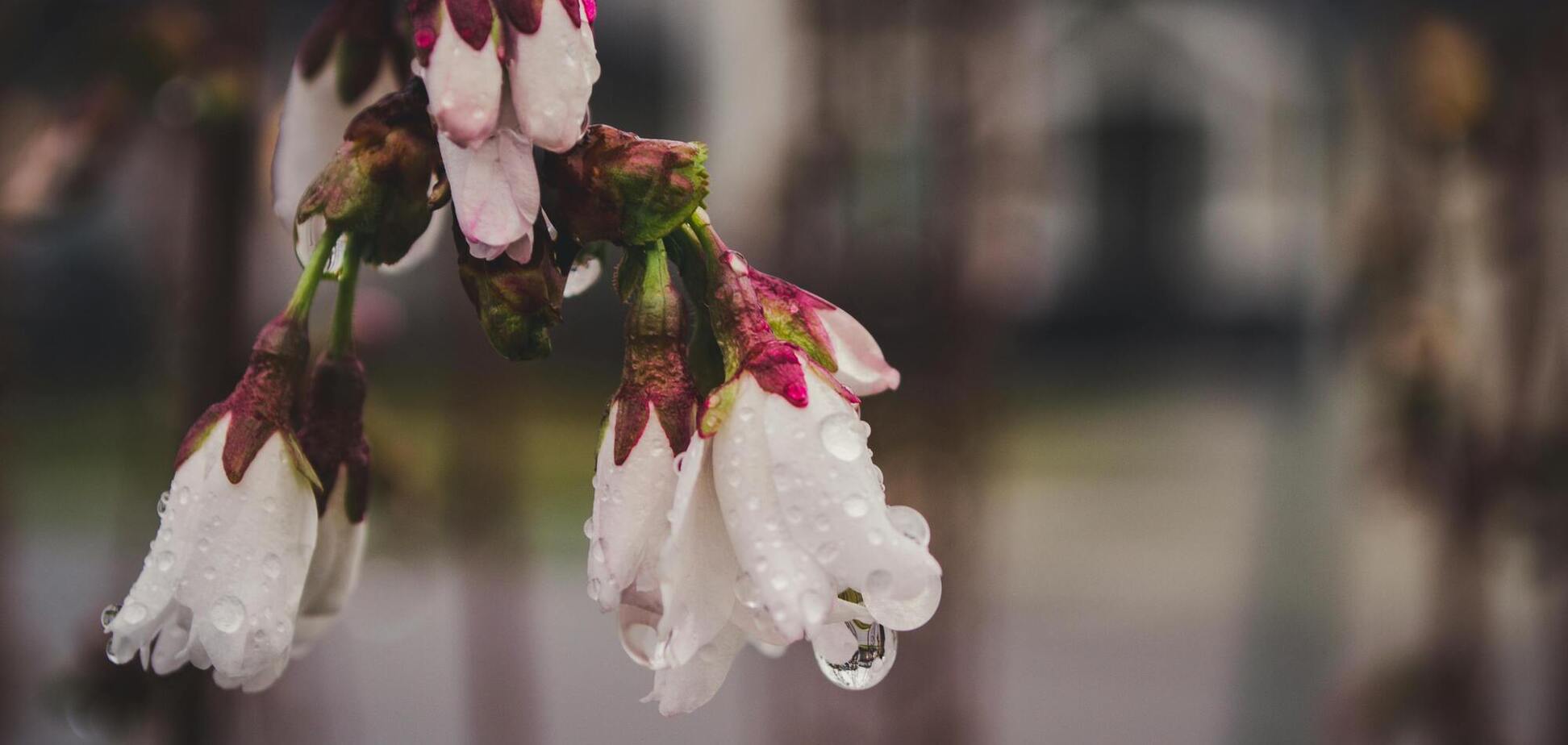 Местами дождь с мокрым снегом и заморозки: синоптики дали неутешительный прогноз погоды на неделю. Видео