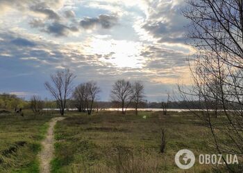 Без осадков и до +17°С: подробный прогноз погоды по Киевской области на 3 апреля