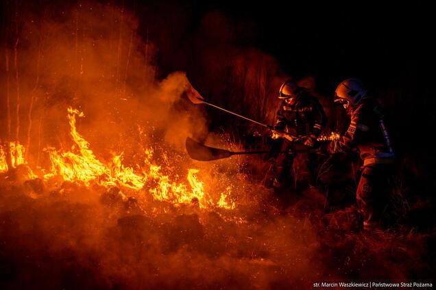 В Польше вторые сутки продолжается пожар в национальном парке: площадь увеличилась до 450 га. Фото