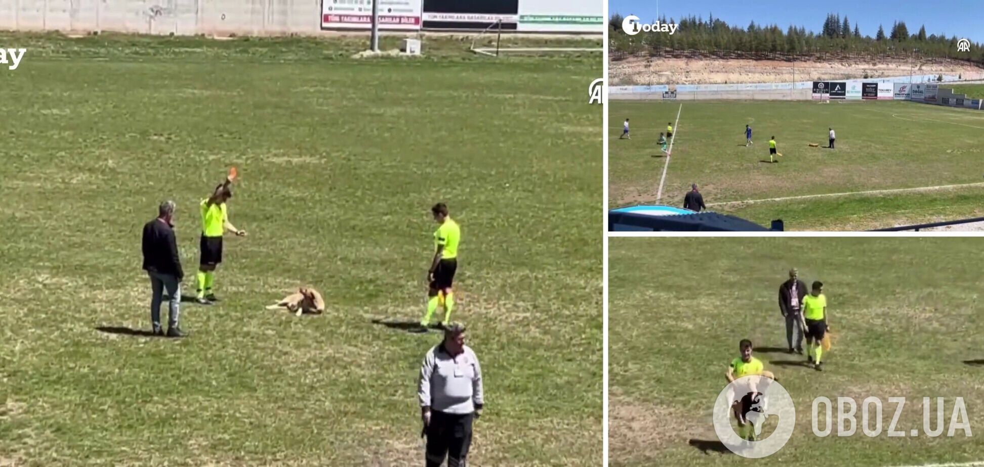 В Турции арбитр показал 'самую необычную красную карточку в истории'. Видео