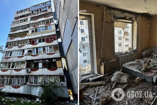 У Запоріжжі поранений пес не відходив від тіла загиблої власниці: нові подробиці російської атаки 