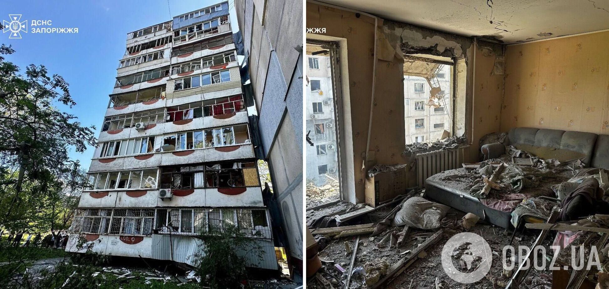 У Запоріжжі поранений пес не відходив від тіла загиблої власниці: нові подробиці російської атаки