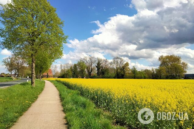 Погода в Украине дважды резко изменится в ближайшие дни: Гидрометцентр озвучил подробный прогноз