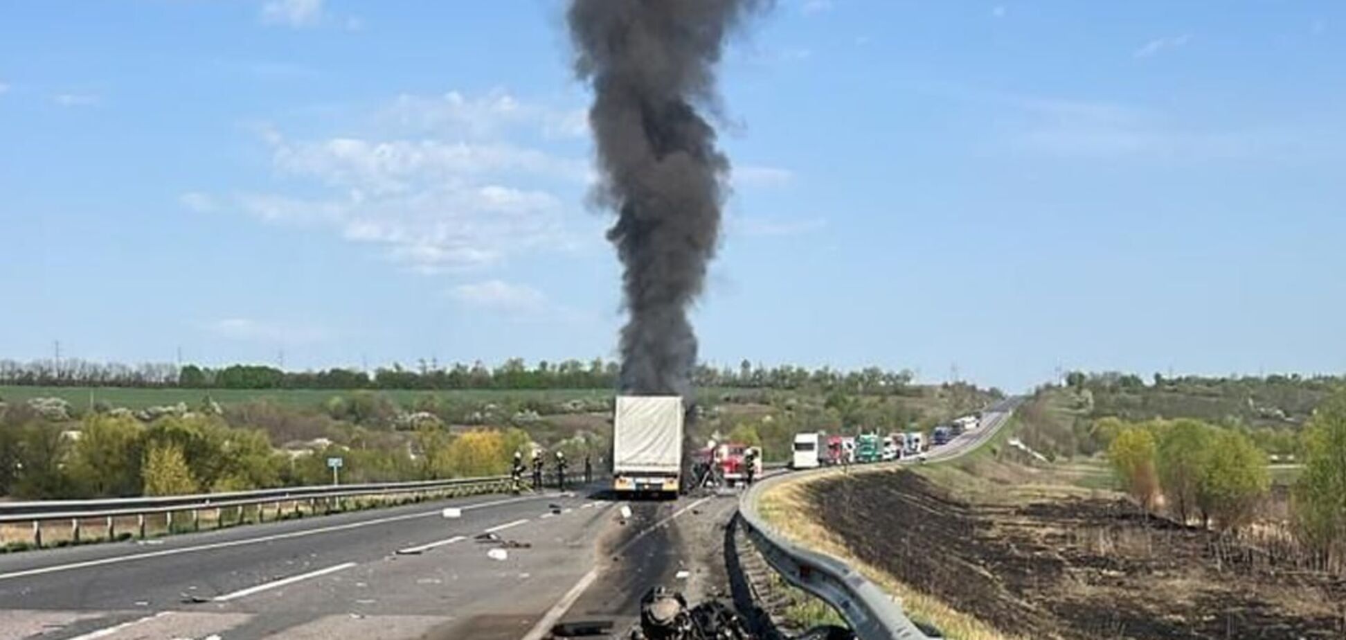 Вылетел на встречную: в Черкасской области легковушка столкнулась с грузовиком, водитель погиб на месте. Фото