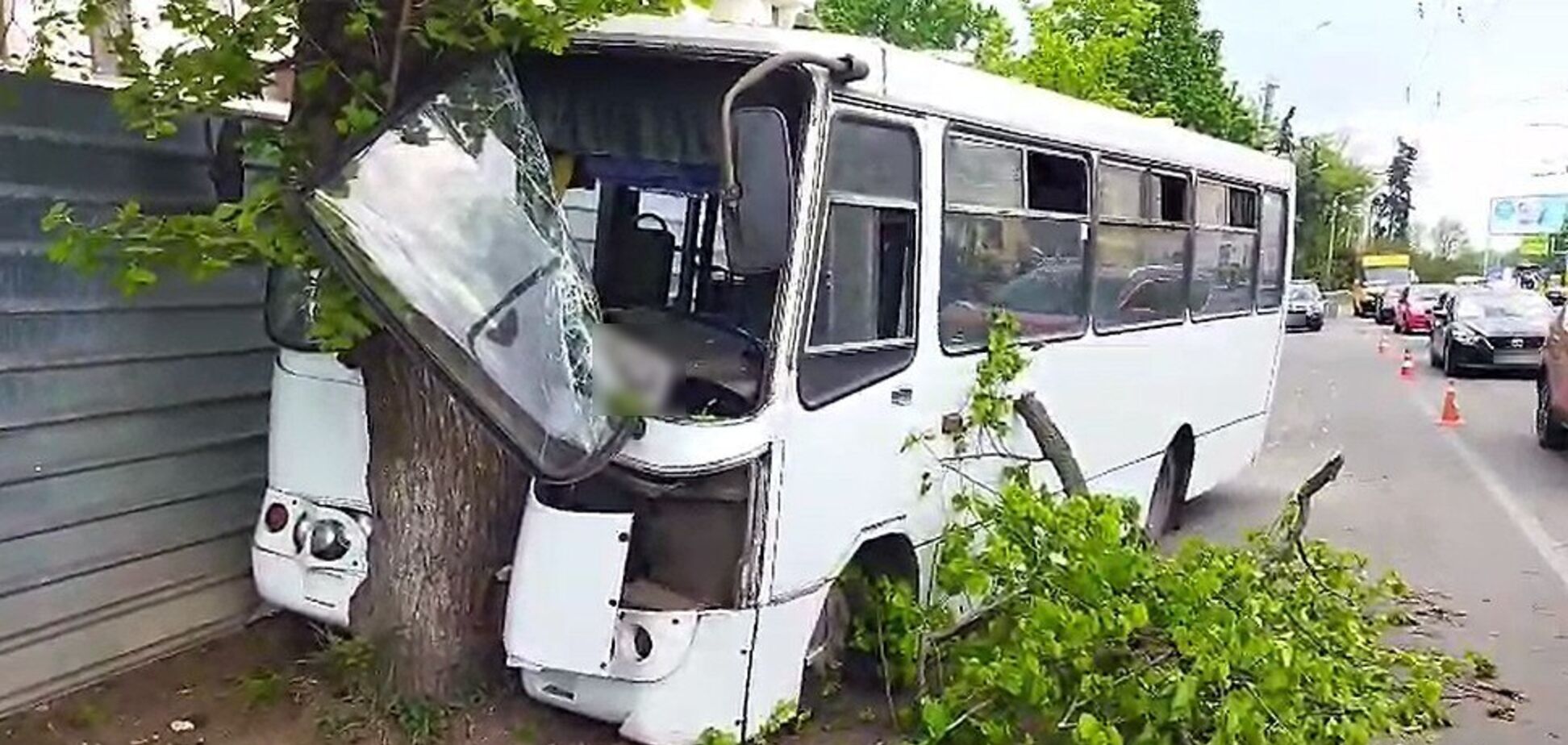 В Полтаве автобус с пассажирами влетел в дерево: среди пострадавших – ребенок. Фото