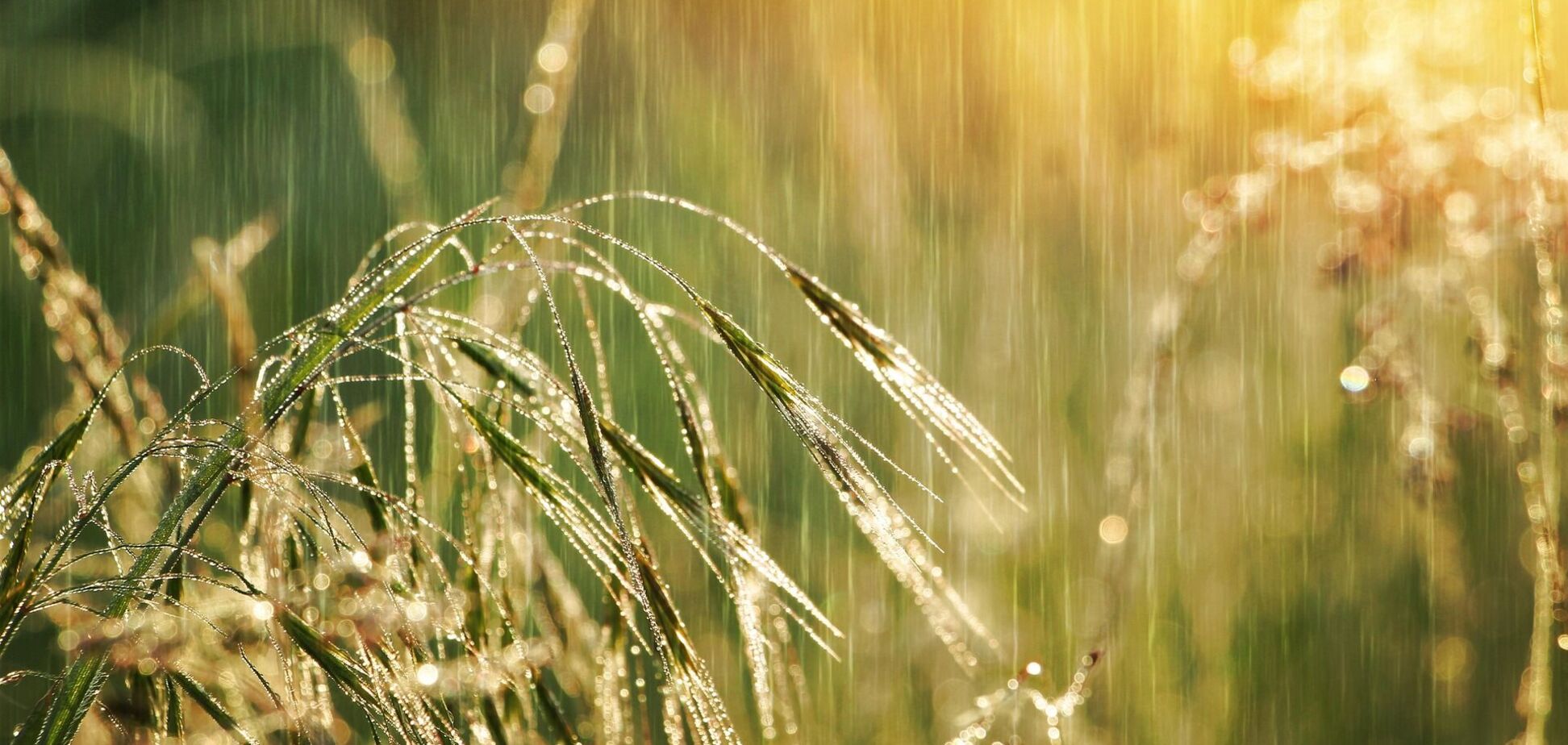 Украину в выходные накроют дожди, будет похолодание: синоптики дали детальный прогноз. Карта