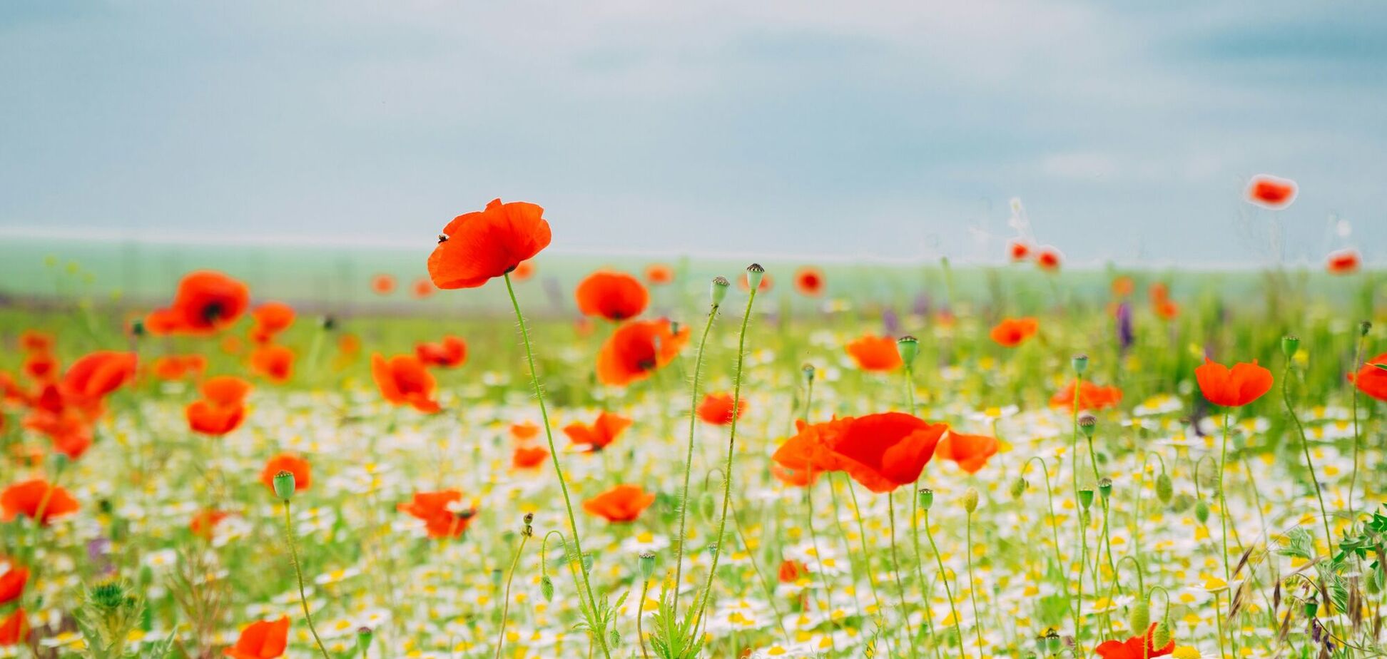 Синоптик рассказала, ждать ли в Украине жары в ближайшее время