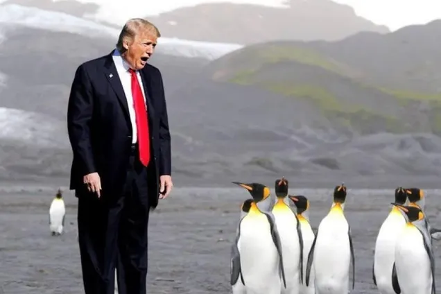 'Я вам сейчас покажу, откуда готовилось нападение': сеть разразилась мемами из-за таможенной войны Трампа