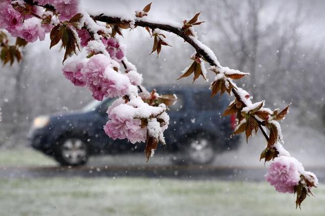 В Україну повернувся сніг: водіїв закликали бути обережними на дорогах. Відео