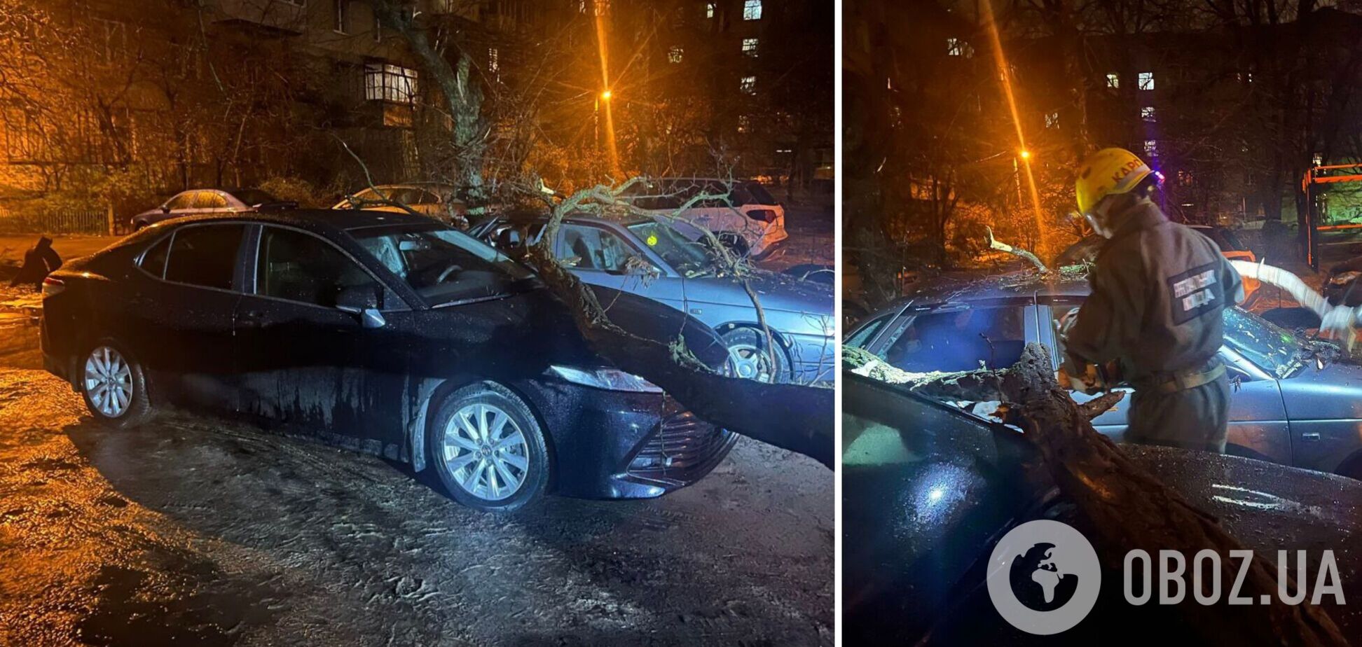 У Києві у дворі будинку сухе дерево впало прямо на припарковані машини. Фото та подробиці
