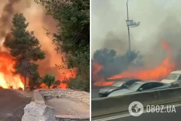 Навколо Єрусалима спалахнули масштабні пожежі: палають дерева й автівки, оголошено евакуацію. Відео