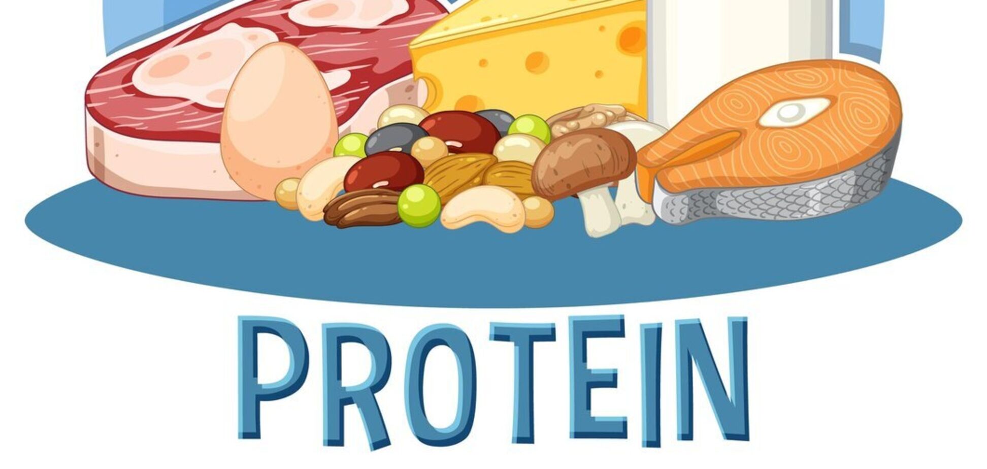 Белок в рационе: важен не только объем, но и качество