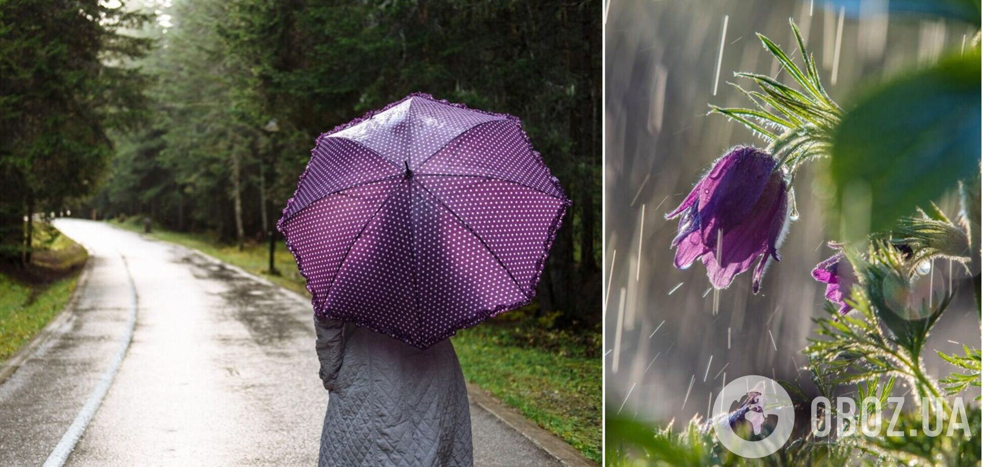 Местами сильный дождь и похолодание: синоптики дали прогноз погоды на субботу